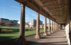The Millfields